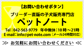 ペットノート（東京店）ブリーダー直販の子犬販売専門ペットショップ　お問い合わせボタン